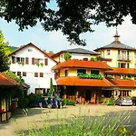 Rebstock Durbach