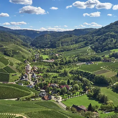 Rebstock 4* Durbach
