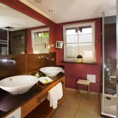 Hotel Rebstock 4*