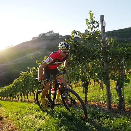 Ξενοδοχείο Rebstock