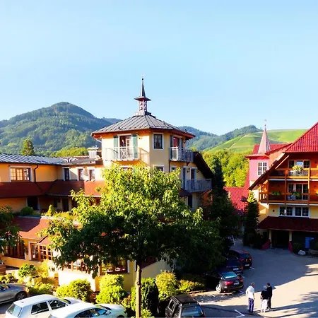 Hotel Rebstock 4*